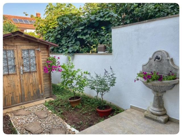 Apartman Sorgo Apartment Zambratija  Exterior photo